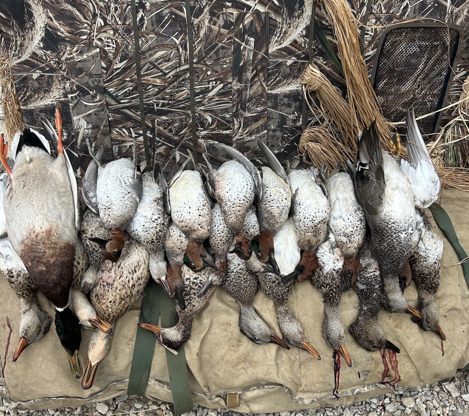 Duck hunters after a successful morning
